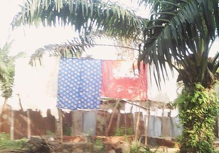 Brise vue provisoire & précaire